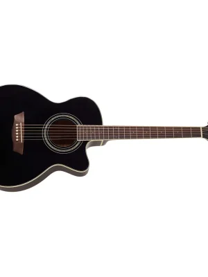 WASHBURN EA12 B-A-U Must-Have