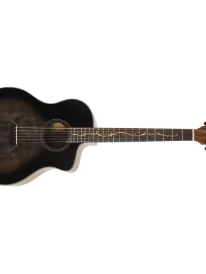 WASHBURN BTS9VCECH-D-U Ověřený