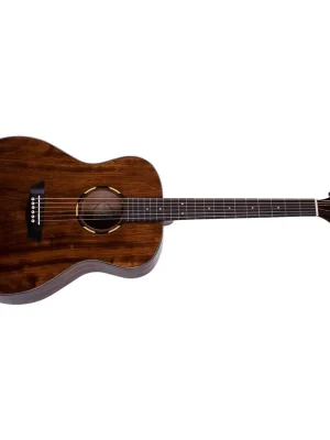 WASHBURN Woodline WLO12SE-O-U Sezónní Sleva