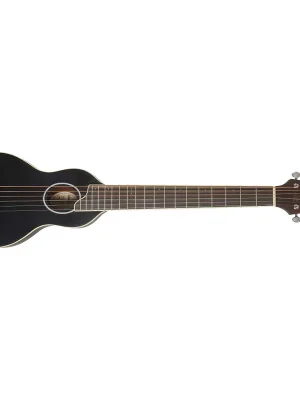 Ihned K Objednání WASHBURN RO10SBK-A-U