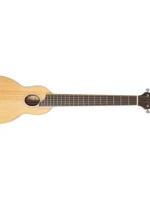 Sezónní Sleva WASHBURN RO10SK-A-U