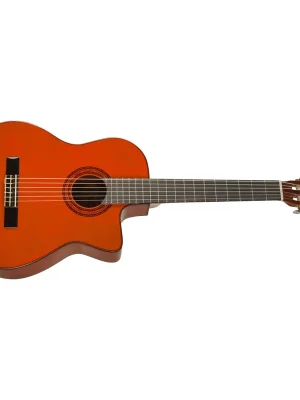 Nejprodávanější WASHBURN C5CE-A-U