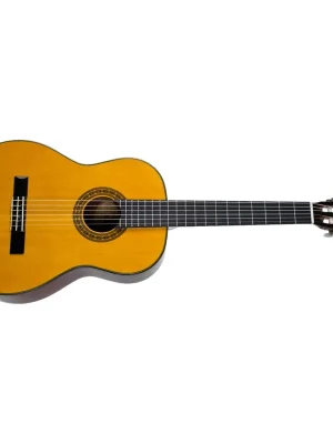 WASHBURN C40-A-U Výhodná Nabídka