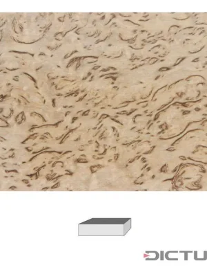 Dictum 831325 - Masur Birch, Premium Quality „Highly Figured", 120 x 40 x 30 mm Omezená Nabídka
