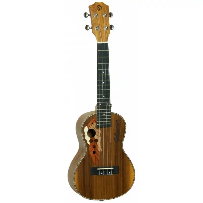 Gilmour Ukulele OVA Concert Speciální Cena