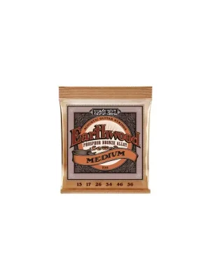 Sezónní Sleva Ernie Ball 2144 EARTHWOOD Phosphor Bronze MEDIUM