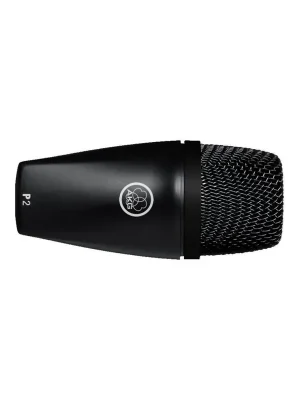 Kup Teď AKG P2 Live