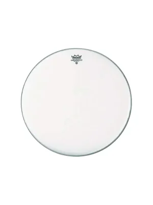 Cenově Výhodný REMO 12" Ambassador Coated