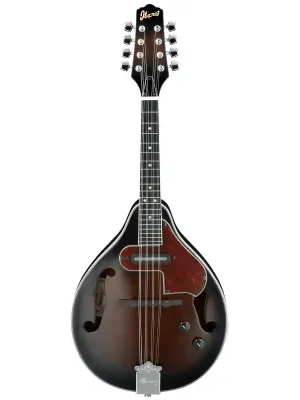 Ibanez M510E-DVS Poslední Šance