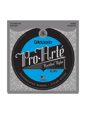 D'Addario EJ31 Aktuální