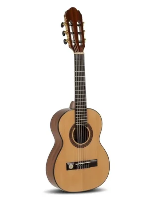 Nejprodávanější Gewa Pro Arte GC50A