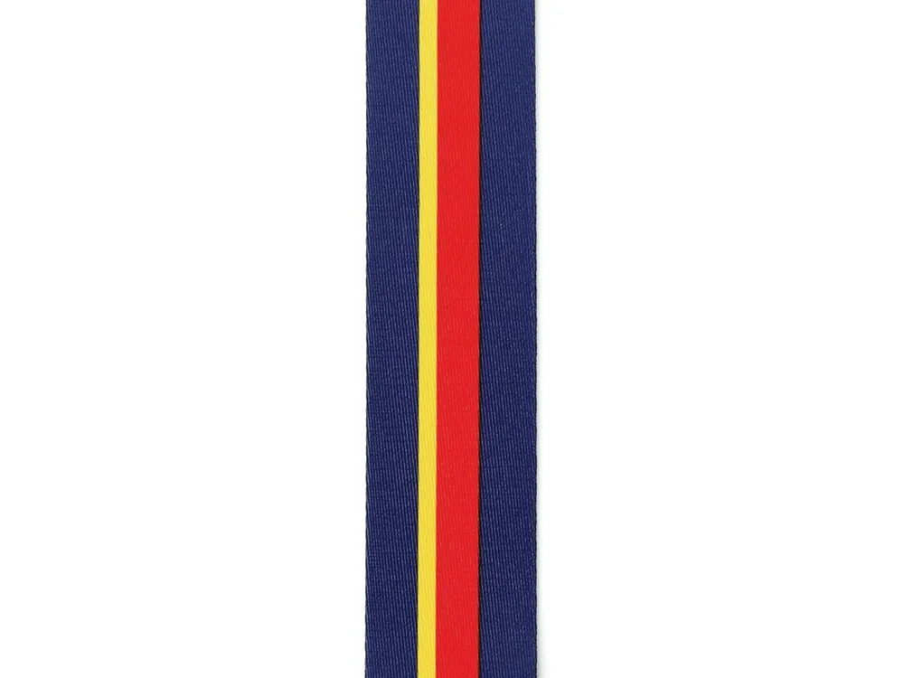 Nejprodávanější D'Addario Yellow Submarine 50th Anniversary Woven Guitar Strap, John