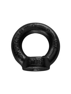 Eyenut M10 | black | WLL 230kg Časově Omezené