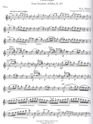 Značkový Rubank Treasures for Flute + Audio Online / příčná flétna a klavír (PDF)