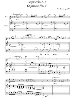 Cenově Výhodný Židek, Petr: Capriccia č. 5, 6, 8, 10 / příčná flétna a klavír