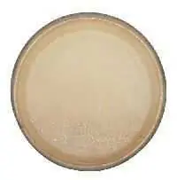 Nakupujte Hned Bongo blána CLUB SALSA