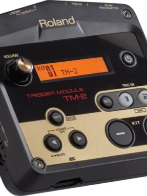 Hit Sezóny Roland TM-2