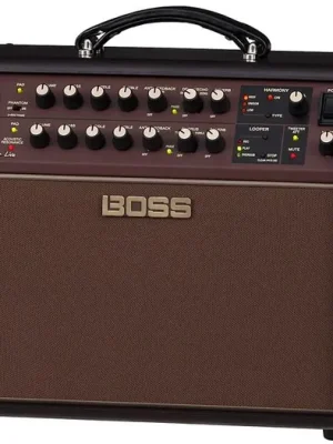 Boss Acoustic Singer Live Poslední Šance