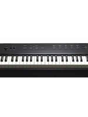 Speciální Cena Kurzweil KA E1