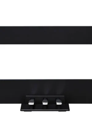 Akční Nabídka KURZWEIL ST-3 LB