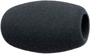 Objednat Nyní Sennheiser MZW1