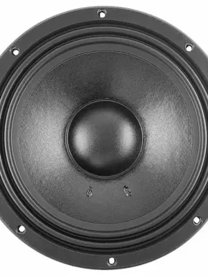 12SR3CP SICA loudspeaker reproduktor Značkový