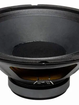 PL12 BS ACOUSTIC reproduktor Pouze Dnes