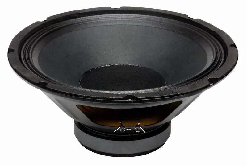 PL12 BS ACOUSTIC reproduktor Pouze Dnes