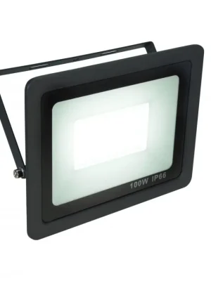 Eurolite FL-100, venkovní bodový LED reflektor 70, studená bílá Autentický