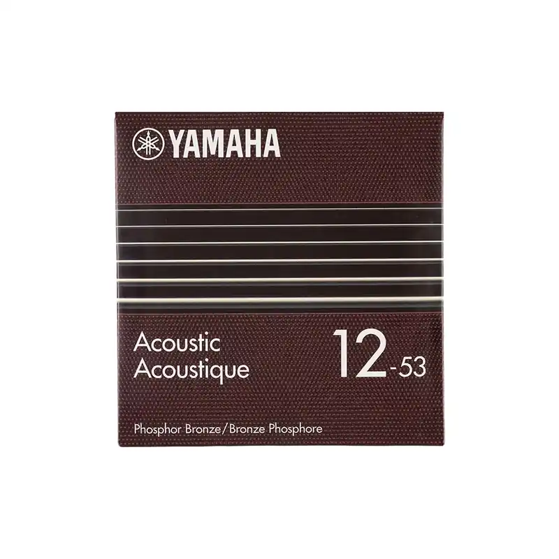 Speciální Cena Yamaha GSA12P Phosphor Bronze