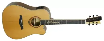 Nejlepší Cena Elektroakustická kytara Gilmour Woody WN CEQ