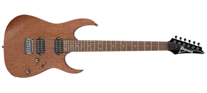 Must-Have Elektrická kytara Ibanez RG421-MOL