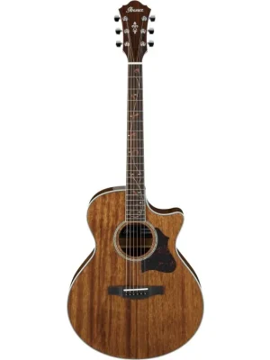 Finální Výprodej IBANEZ AE245-NT elektroakustická kytara