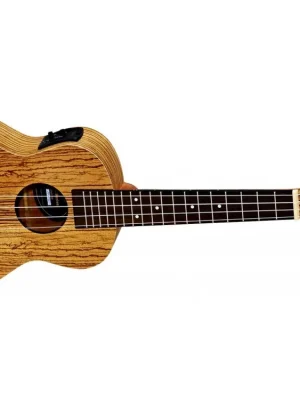 ORTEGA RFU11ZE elektro-akustické koncertní ukulele + obal zdarma Zlevněný