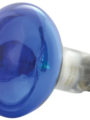 Objednat Nyní QTX R80 230V/60W E27, modrá