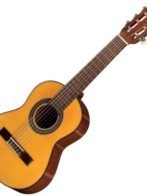 Objednat Nyní GEWA 1/4 Klasická gitara student natural
