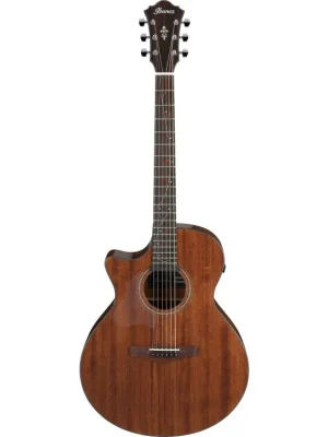Expresní Doručení Ibanez AE295L-LGS