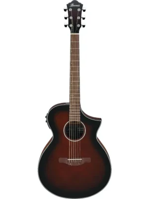 Ibanez AEWC11-DVS Akční Nabídka