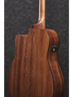 Ibanez AW65ECE-LG Poslední Šance