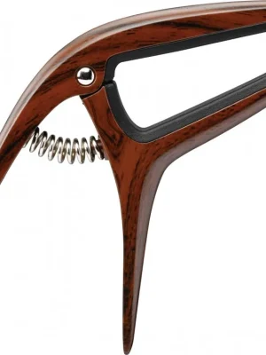 Kup Teď Ibanez ICGC10W