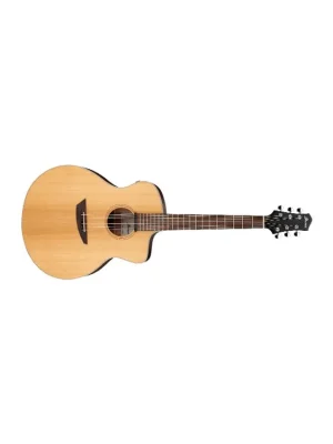 Ibanez PA230E-NSL Nejlepší Volba