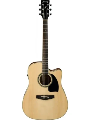 Nejlepší Volba Ibanez PF15ECE-NT