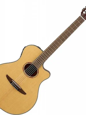 Ihned K Objednání Yamaha NTX1NT