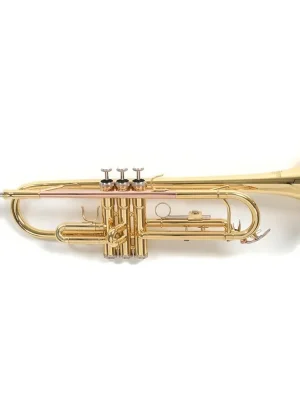 Roy Benson TR-101 Bb trubka Top Prodej