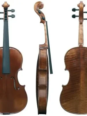 Výhodná Nabídka Viola Maestro6