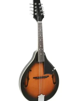Mandolína A-1 Select Ihned K Objednání