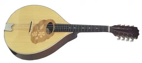 Mandola Pro Arte Pouze Dnes