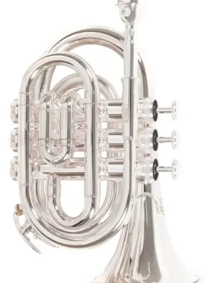 Oblíbený Bb – kapesní trumpeta Roy Benson PT-101S