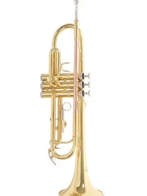 Bb-trumpeta Roy Benson TR-101 Vysoce Kvalitní