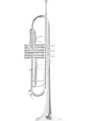 Bb-trumpeta Roy Benson TR-403 Cenově Výhodný